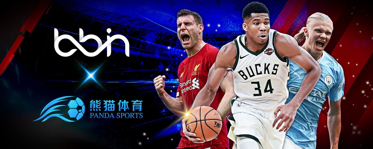 他的综合能